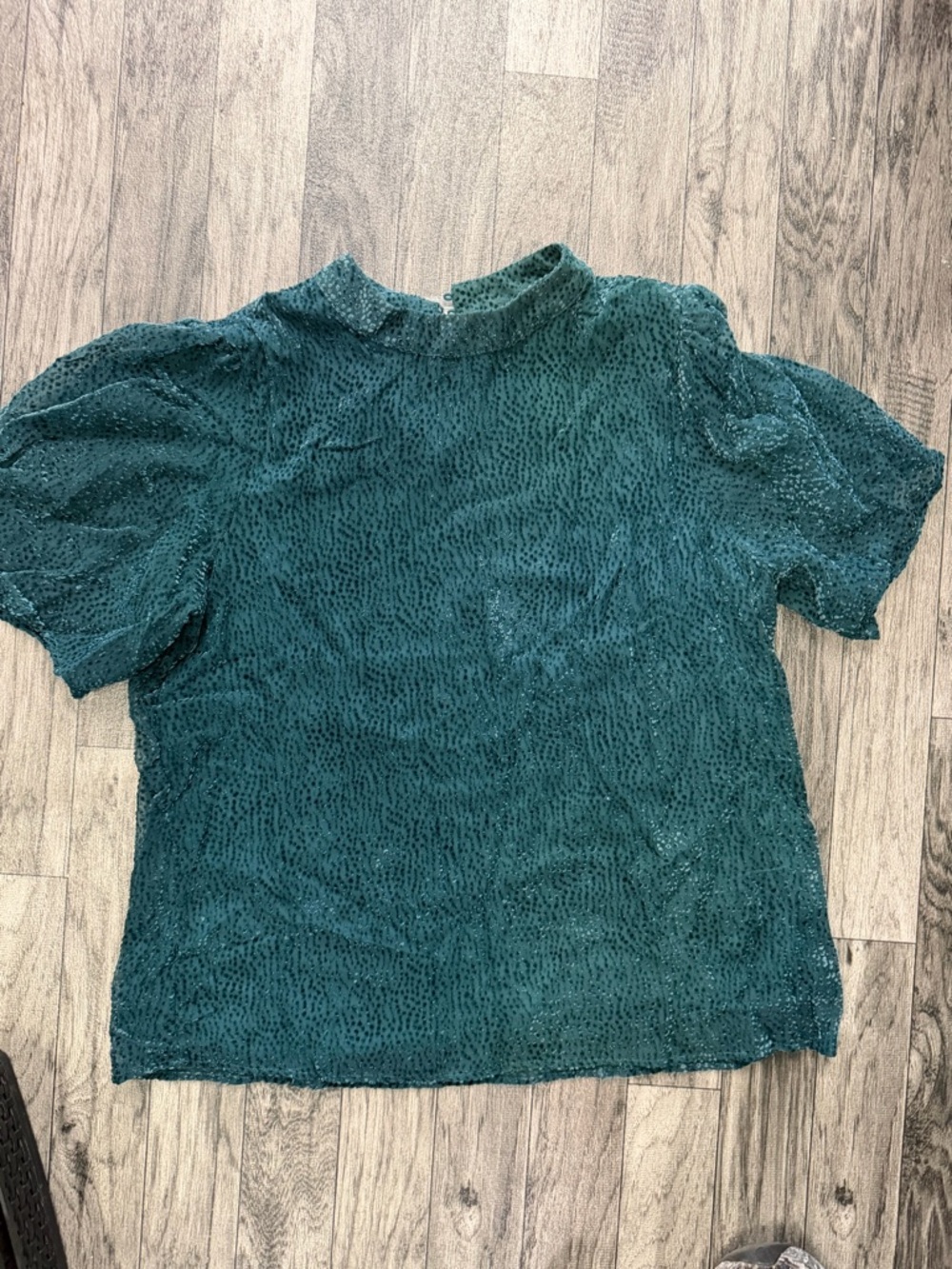 Maurices Teal Short Sleeve velvet burnout Blouse